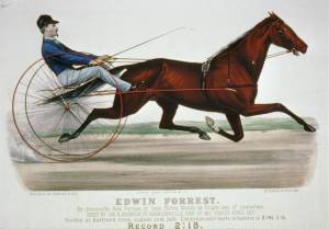 Currier & Ives print of racehorse named after Edwin Forrest. Courtesy of the Library of Congress.